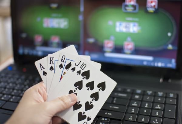 333bet vip